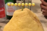 略显惊讶！詹姆斯晒旅行途中遇到巨型柠檬：什么鬼？！