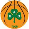 帕纳辛纳科斯女篮