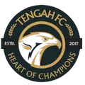 登加FC