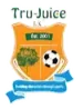 纯果FC